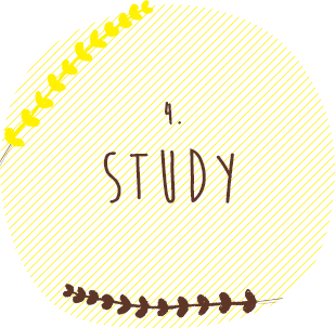 4.STYDY 4.STYDY